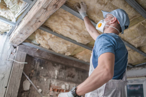 Best Insulation Removal  in South Temple, PA