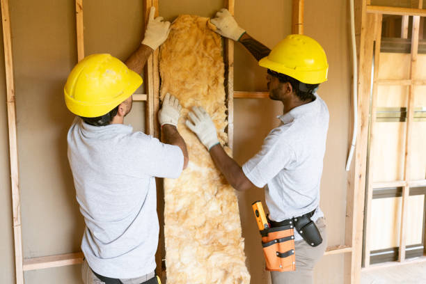 Best Best Insulation Companies  in South Temple, PA
